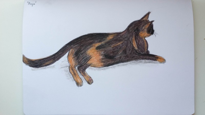 Freya drawing with Inktense - after applying water