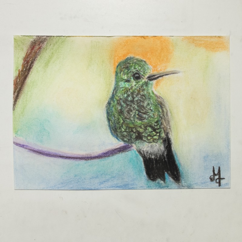 Hummingbird