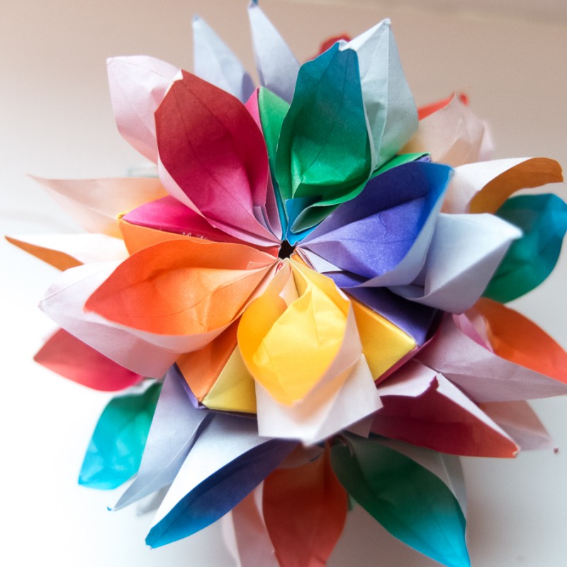 Alina kusudama, close up