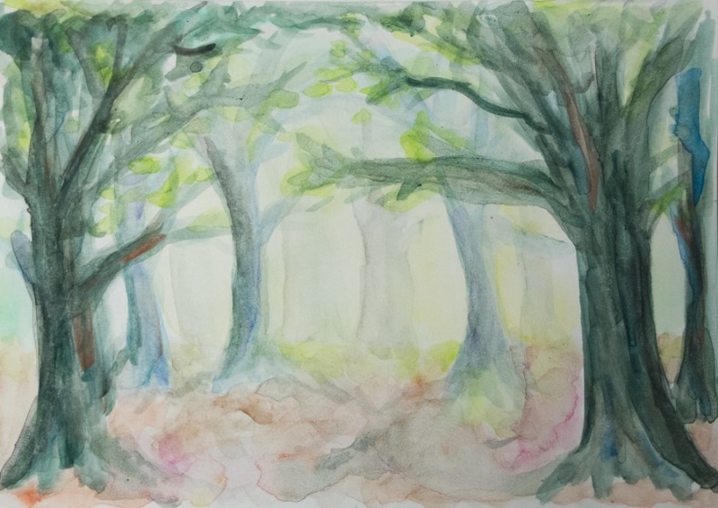 Forest impression