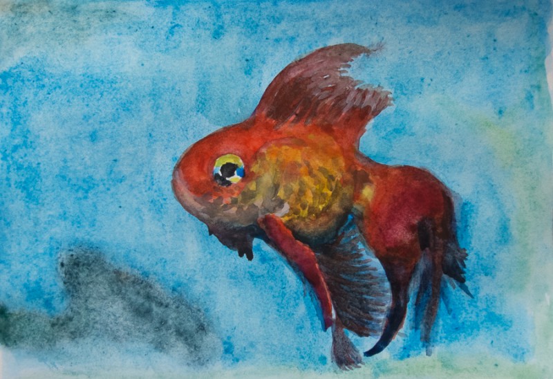 Goldfish (10 x 15 cm postcard)
