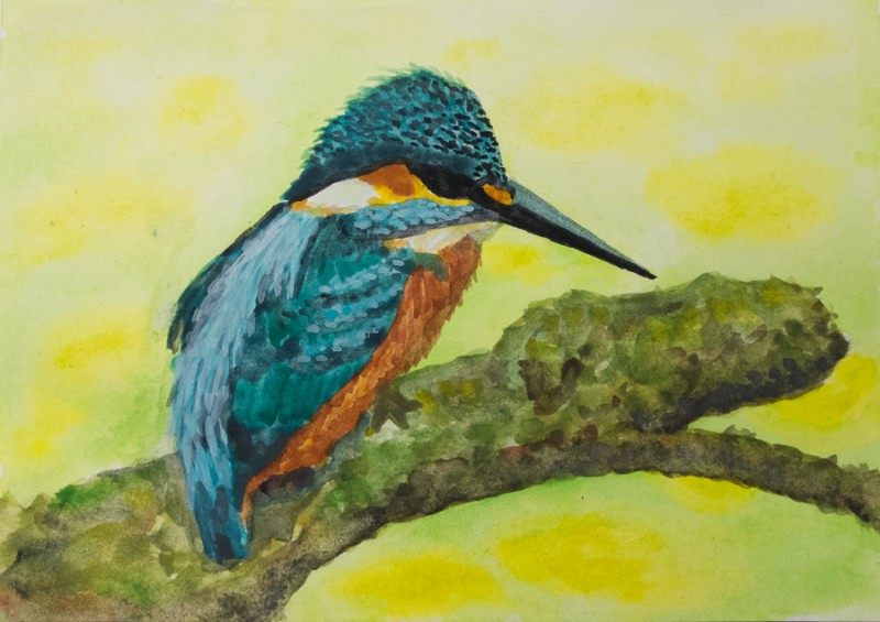 Kingfisher (10 x 15 cm postcard)