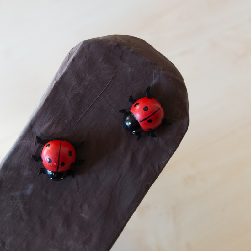 Ladybugs on an arm