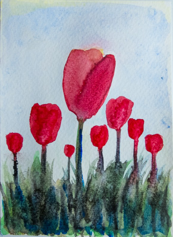 Tulip field (10 x 15 cm postcard)