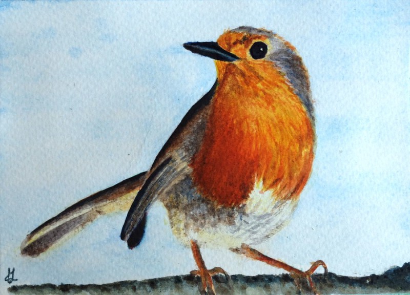 Robin (10 x 15 cm postcard)