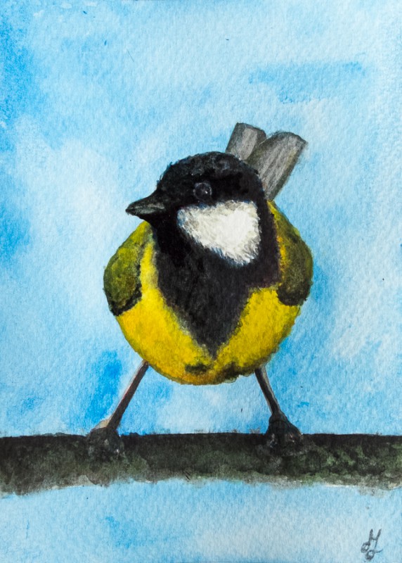 Great tit (10 x 15 cm postcard)