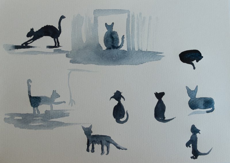 Cat doodles