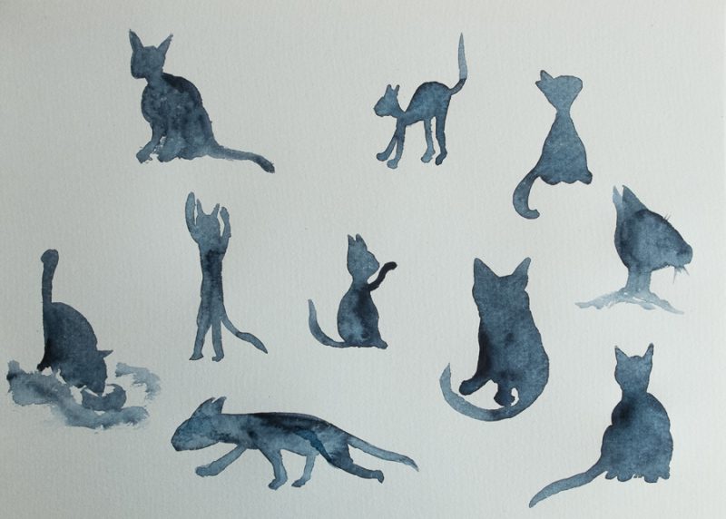 More cat doodles