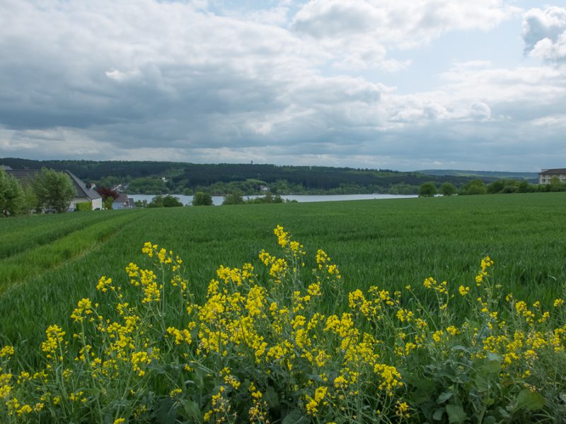 View from up in the village