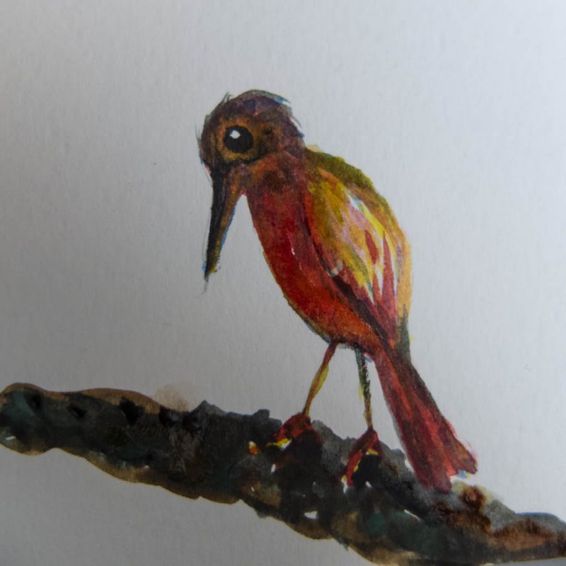 Awkward bird (6x6 cm)