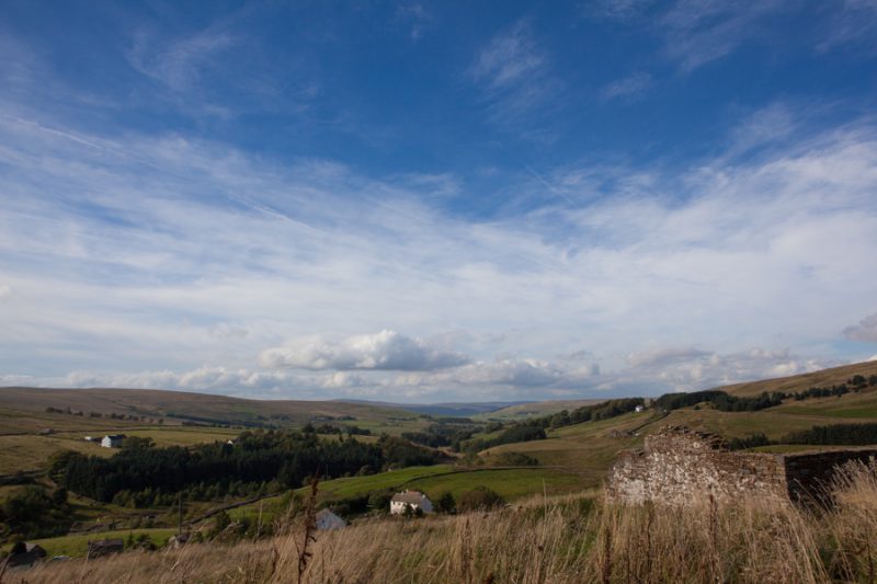 View from the barn