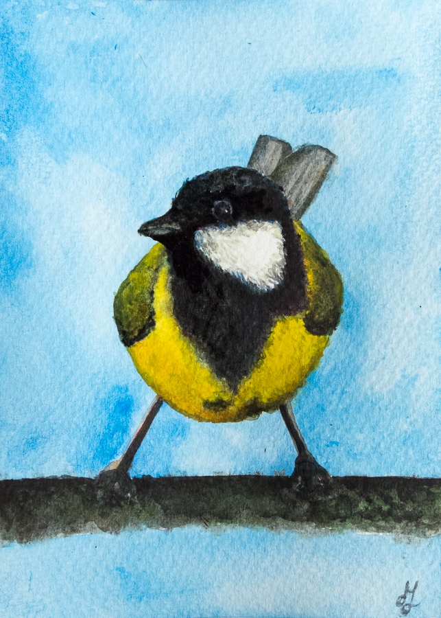 Great tit