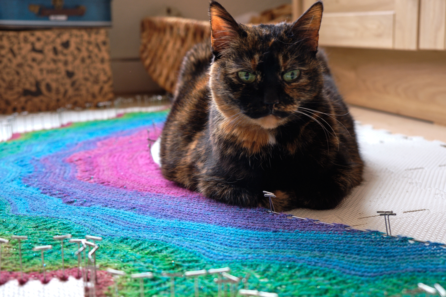 Knitting a rainbow