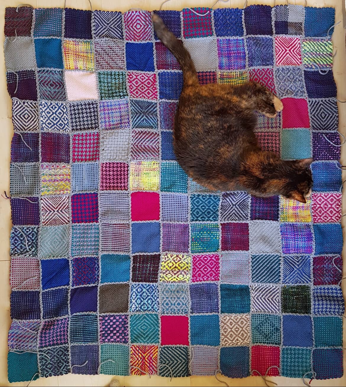 Blanket in progress