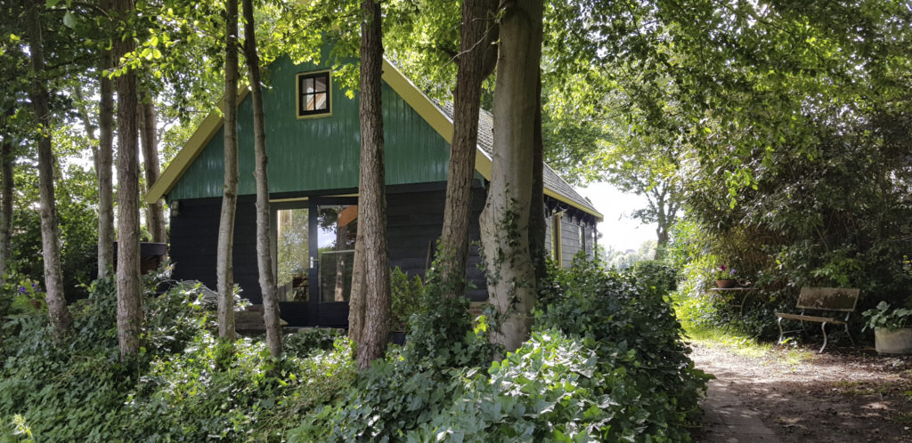 The holiday house from the back. It has green wooden paneling.