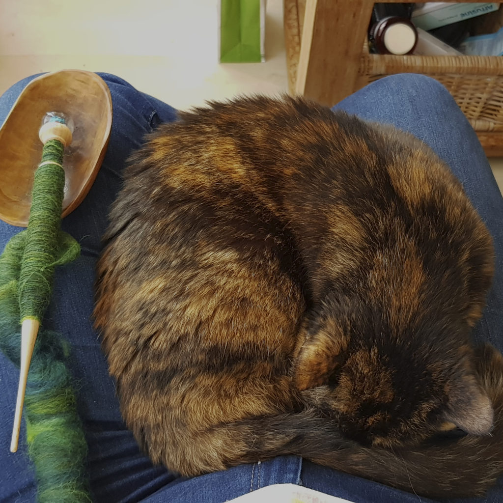 Freya lying on my lap, together with a supported spindle