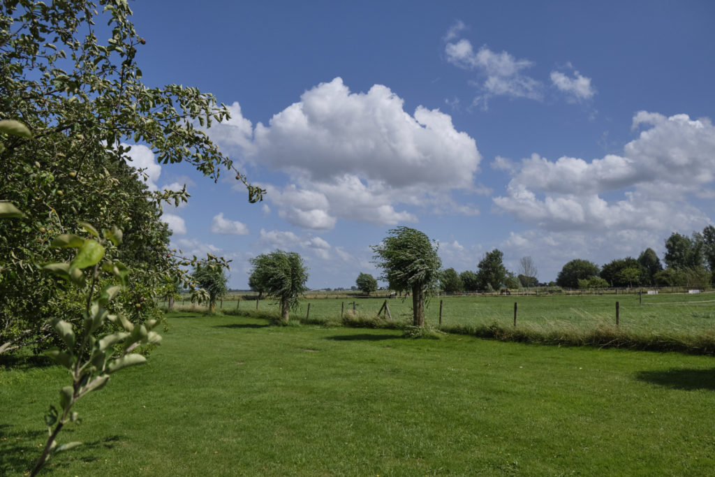 Another landscape: the view at the back of the house