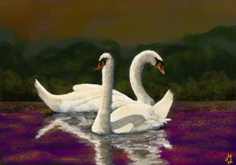 A digital painting of two swans, swimming in a purple pond. There is some greenery behind them and the sky is rusty orange.