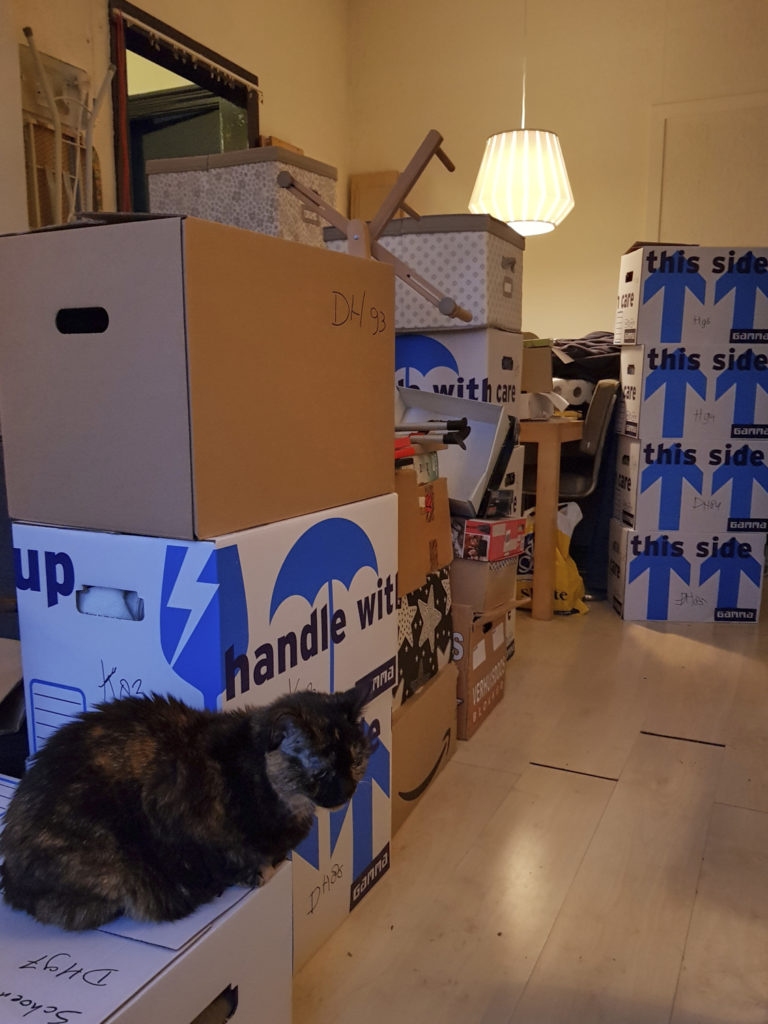 Stacks of boxes in our old living room