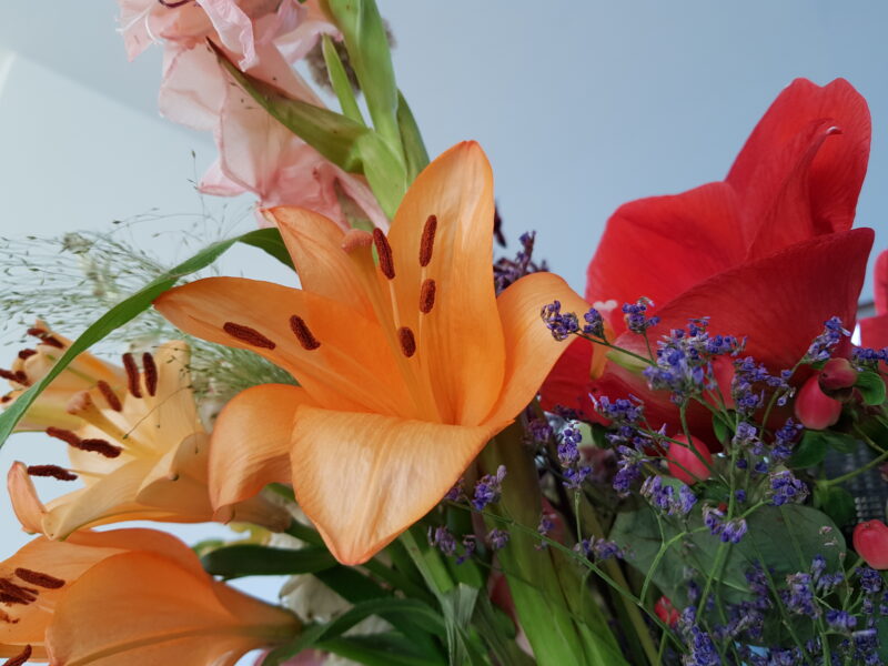 An orange lily in a bouquet