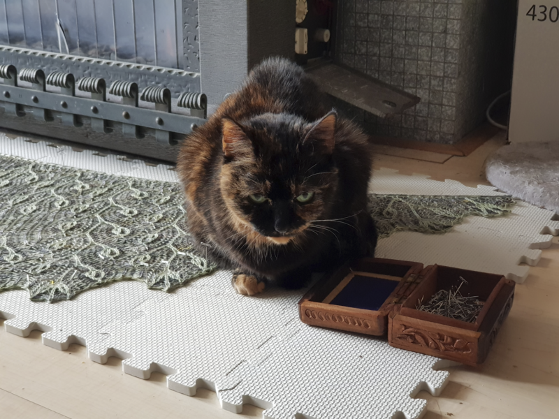 Freya, sitting on top of a blocking shawl, next to a little box of t-pins.