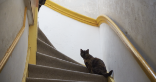 Freya and Fiona Friday 12: At the stairs